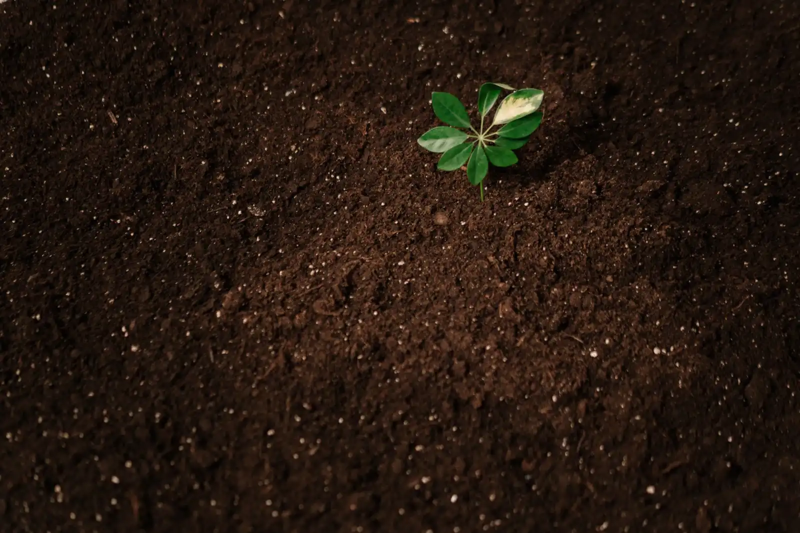 上海悦飞溪智能照明控制模块在商业办公场景中的选型与配置方案
